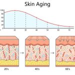 The Importance of Skin Elasticity Checks in Plastic Surgery Clinics