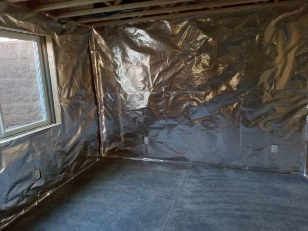 Get Expert Help from a Top Local Crawlspace Company