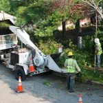Complete Tree Service Janesville for Reliable Outdoor Tree Solutions