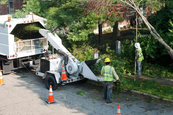 Complete Tree Service Janesville for Reliable Outdoor Tree Solutions