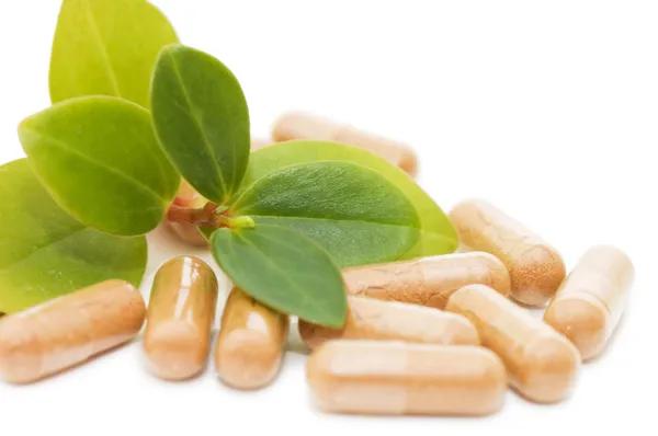 Understanding Why Should Stress Support Supplements Be Paired With Healthy Habits