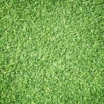 Your Guide to TurfMark Outdoor Solutions Buford Lawn Care Services
