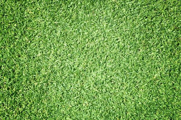Your Guide to TurfMark Outdoor Solutions Buford Lawn Care Services